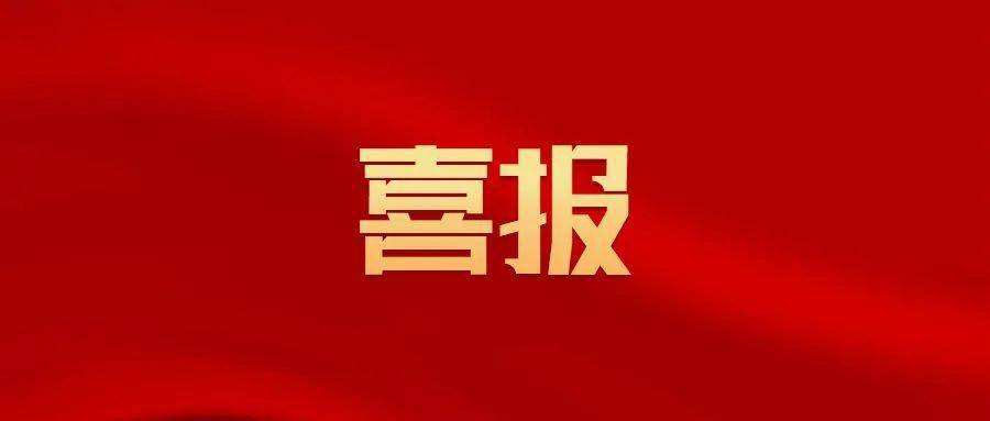 喜报|热烈祝贺半岛·手机网页版（中国）登录入口荣获“2022-2023年度先进集体、先进个人”